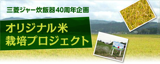 �O�H�W���[���ъ�40���N���I���W�i���č͔|�v���W�F�N�g