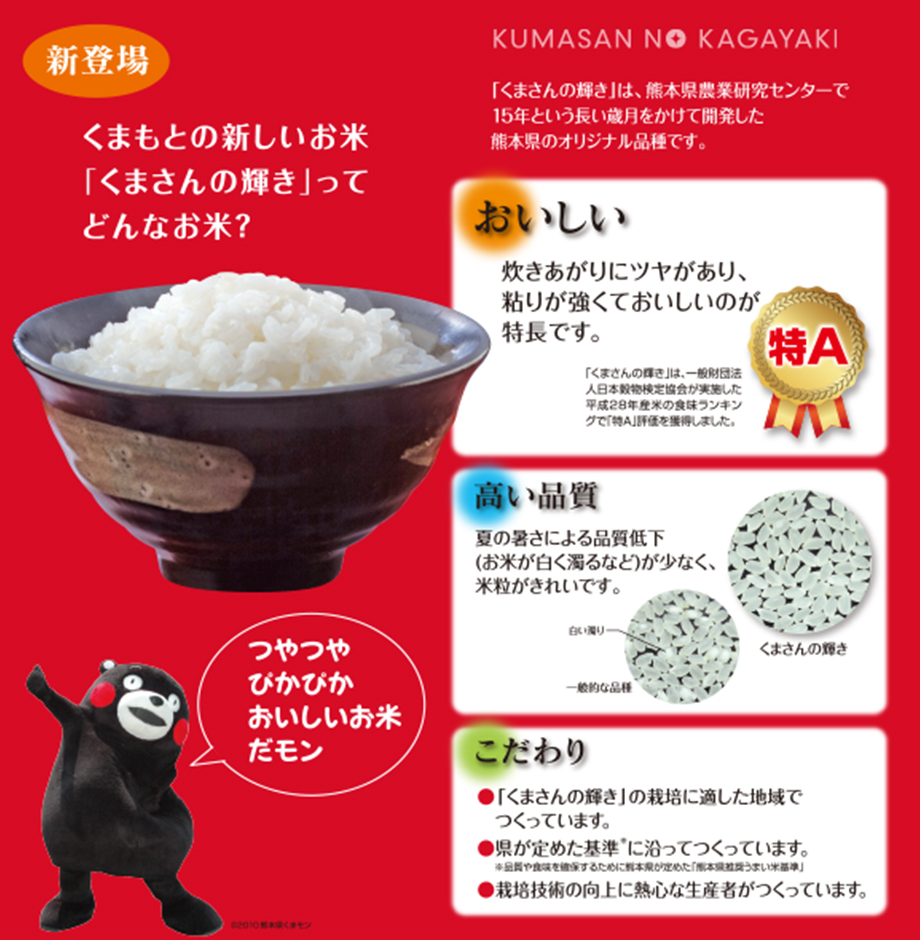 熊本の新しいお米「くまさんの輝き」ってどんなお米？