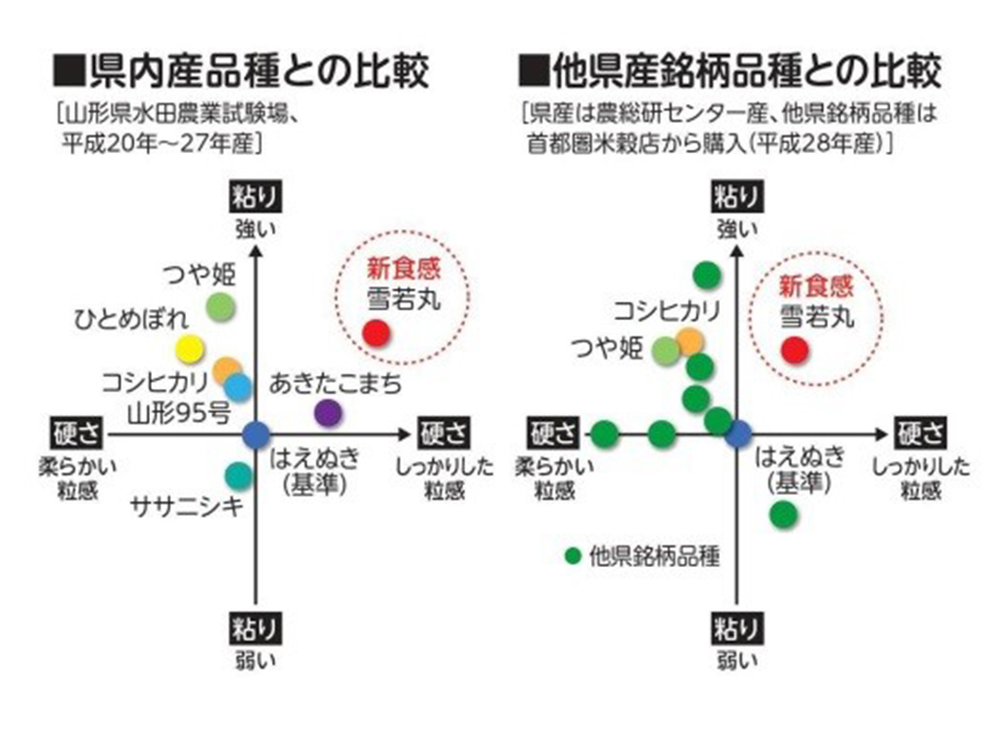 県内産品種との比較、他県産銘柄品種との比較