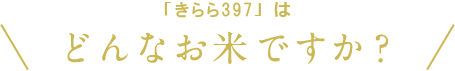 「きらら397」はどんなお米ですか？