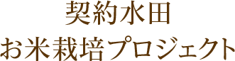 契約水田お米栽培プロジェクト