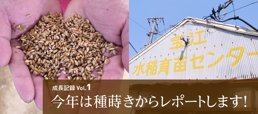 成長記録Vol.1 今年は種蒔きからレポートします！