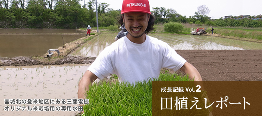 成長記録Vol.2 田植えレポート