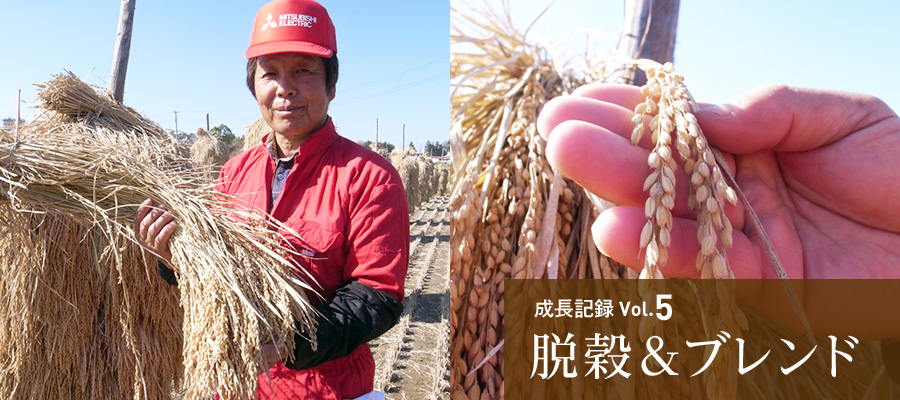 成長記録Vol.5 脱穀＆ブレンド