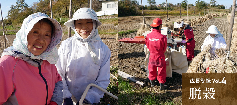 成長記録Vol.4 脱穀
