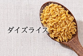 ダイズライス