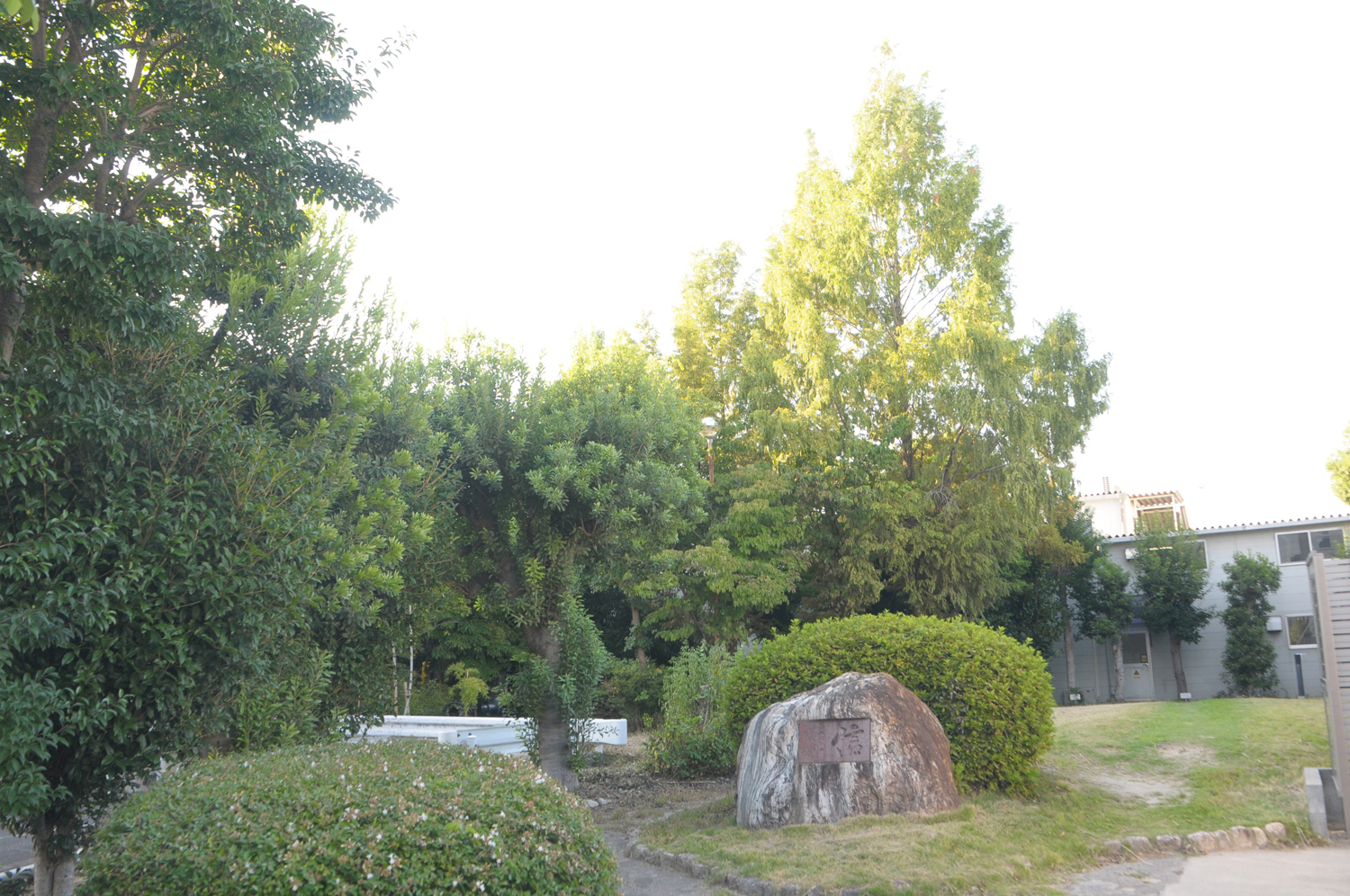 冷熱システム製作所京都地区 地域在来植物を移植した「草地ビオトープ」