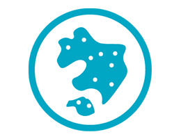 アイコン: 湿気が取れず部屋の壁紙にシミができる