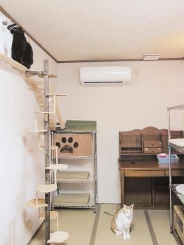 循環ファンを導入した2 階のネコ部屋の一つ「杏」