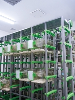 循環ファンは天井中央に2台、間隔をおいて設置