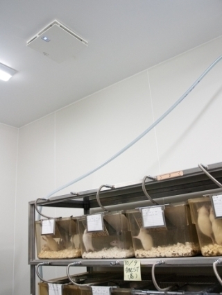 運転中を示すランプは消す設定も可能