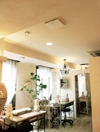 設置された循環ファンと換気扇