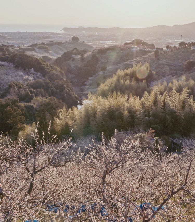 ビジュアル画像1