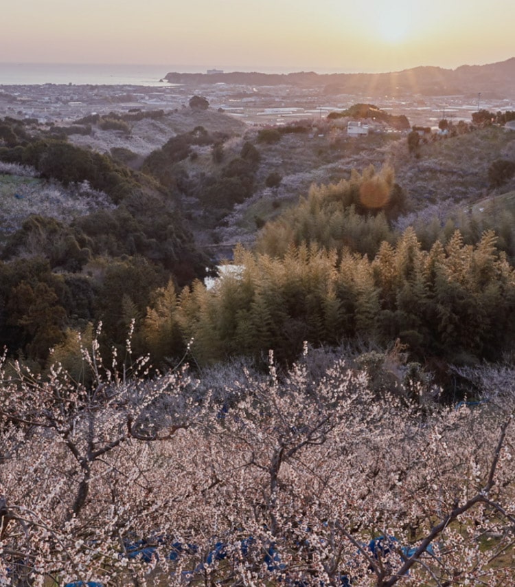 ビジュアル画像3