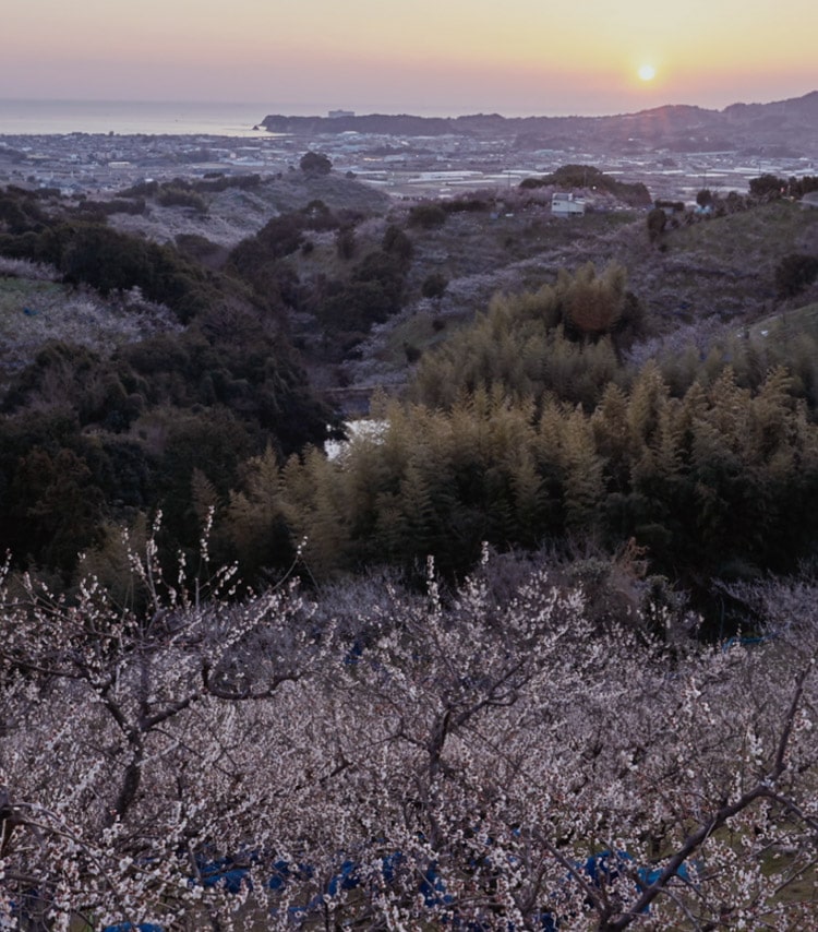 ビジュアル画像4