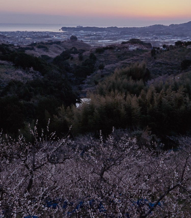 ビジュアル画像5