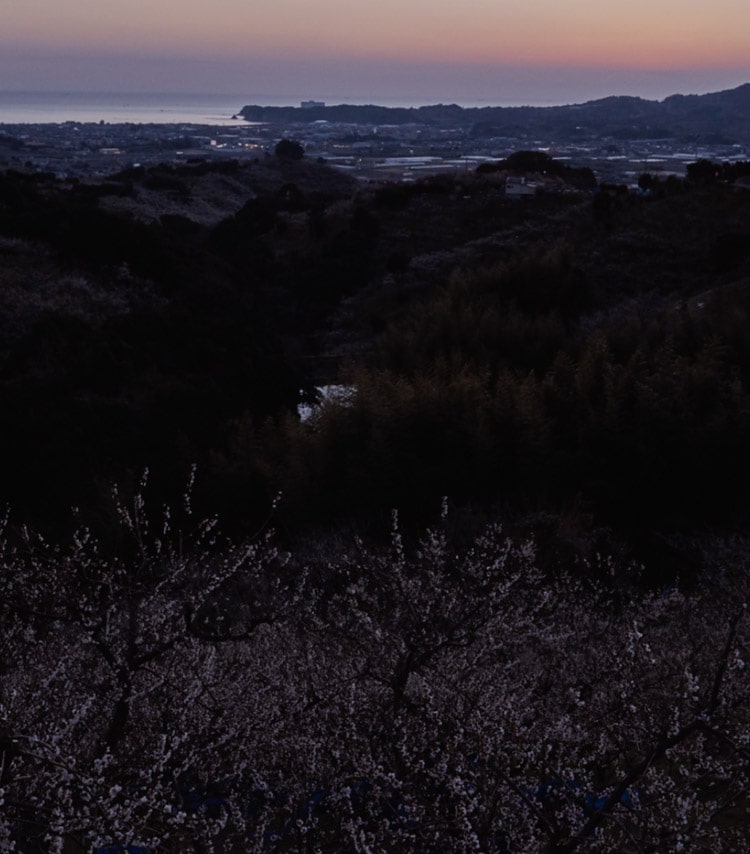 ビジュアル画像6