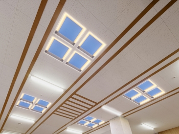 朝/夕シーン　天井