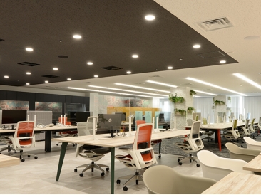 オフィス　昼白色