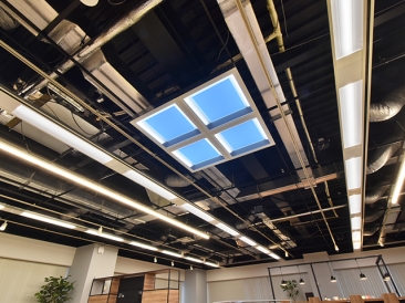 misola設置 昼シーン