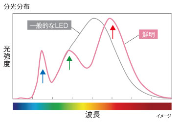 高彩度スポットライト 鮮明/彩明｜三菱電機 照明