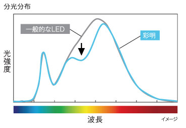 高彩度スポットライト 鮮明/彩明｜三菱電機 照明