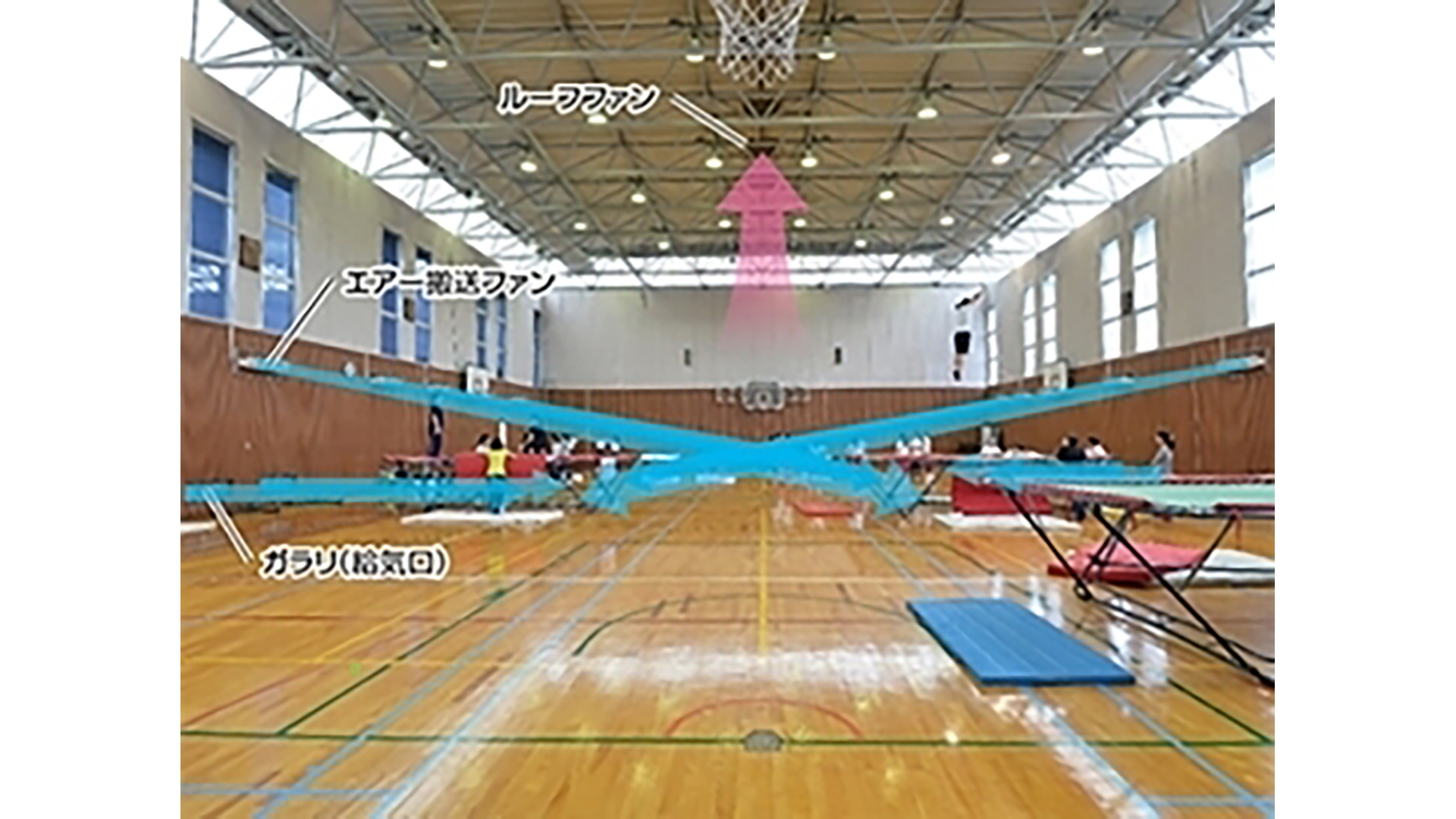 体育館全体に風が生まれ、涼風効果が高まる