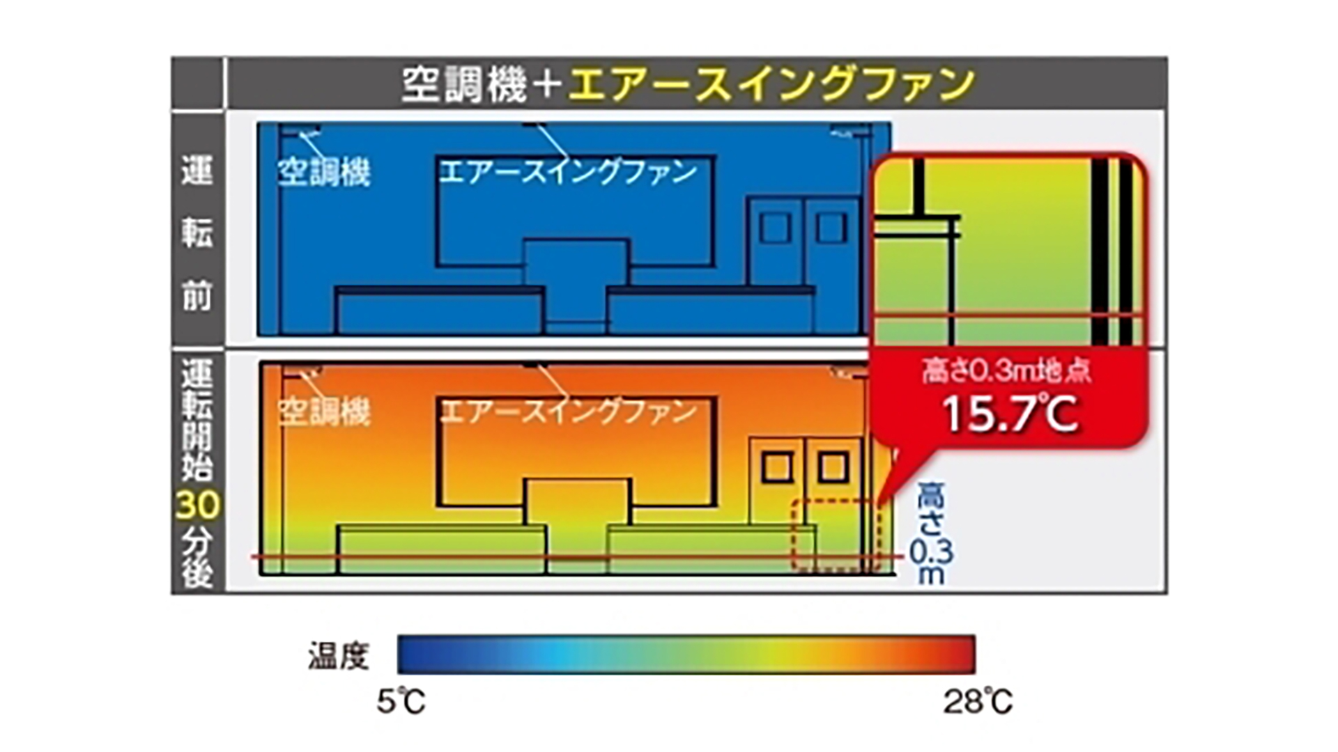 温度分布測定結果
