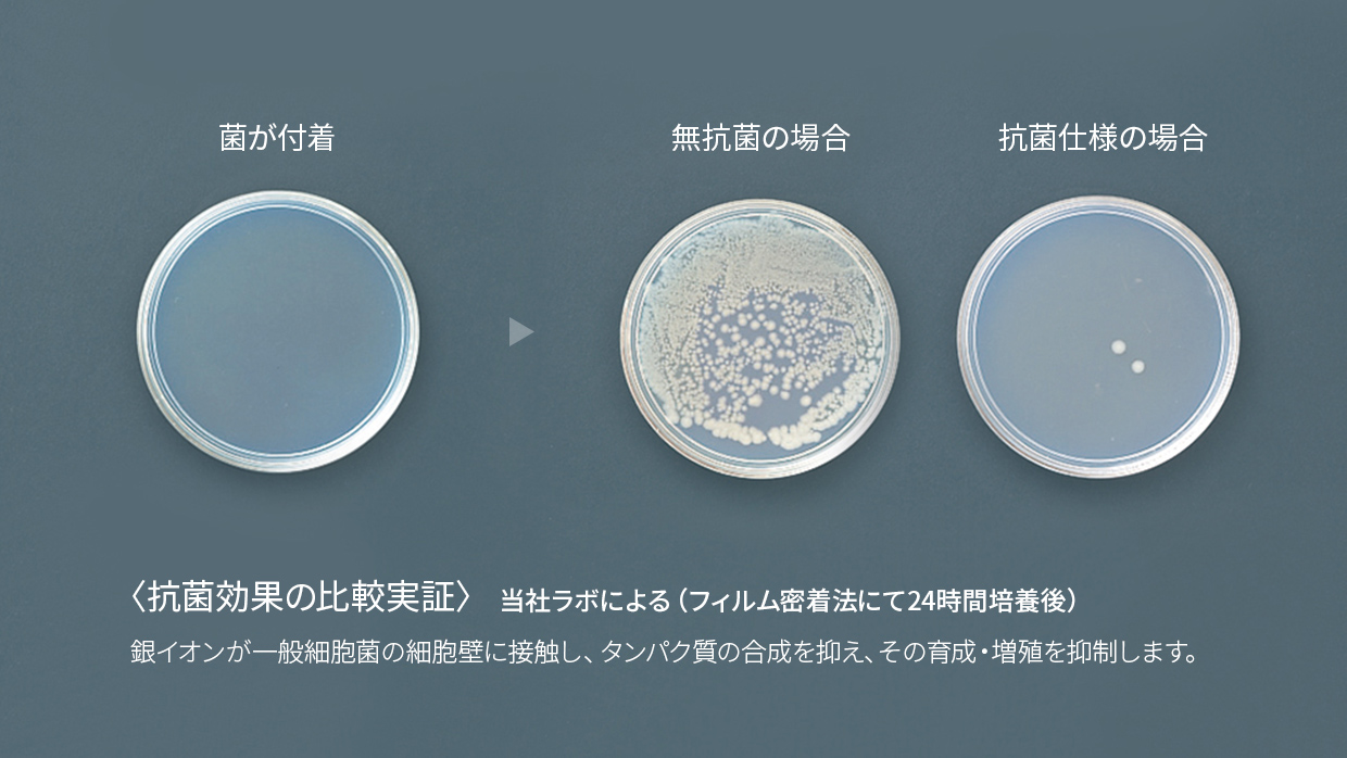抗菌効果の比較実証
