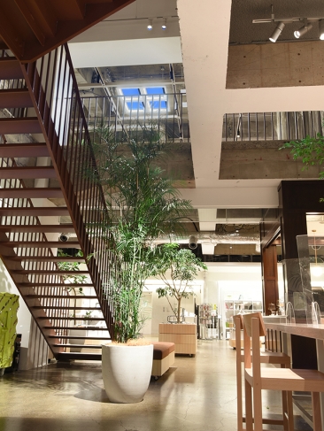 1Fカフェエリアより見上げる青空照明「misola」