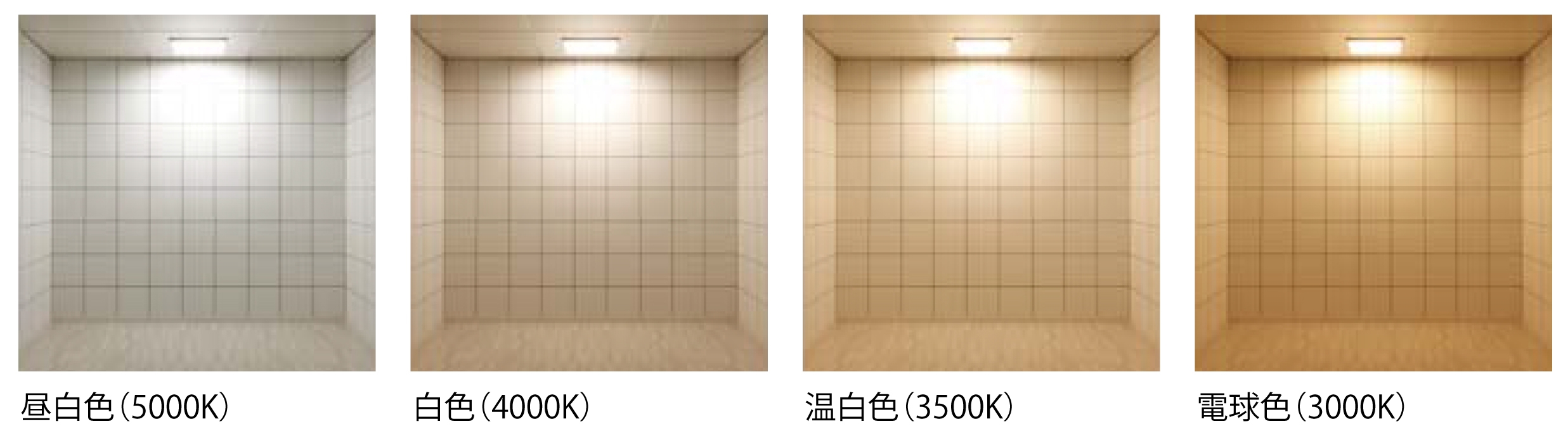 色温度バリエーション