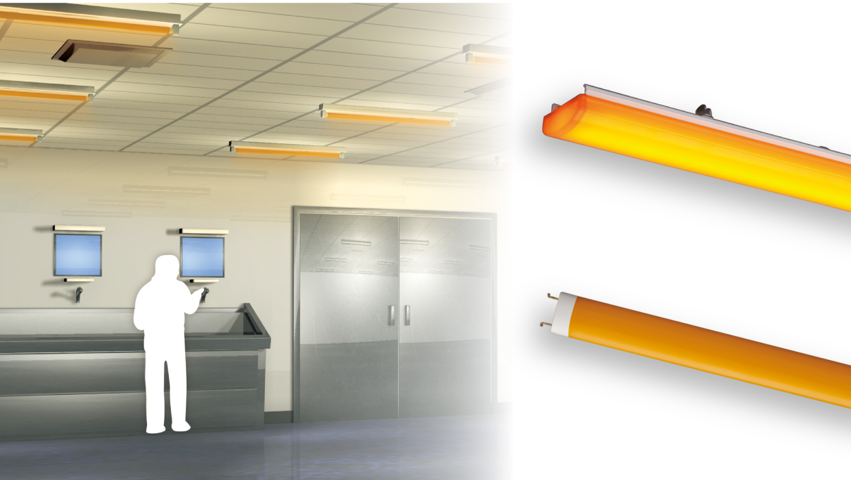 イエロータイプ