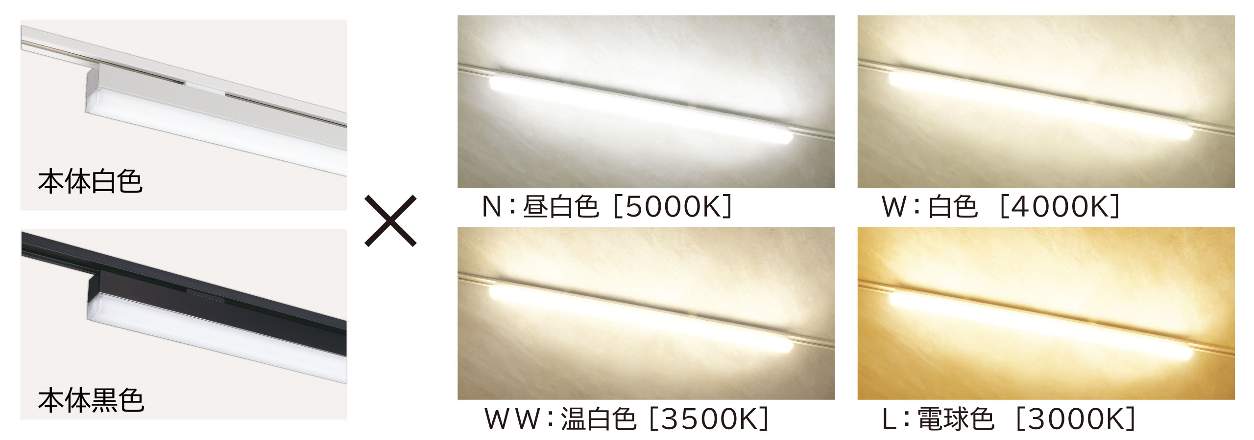 空間に合わせて選べる本体色2種類と光色4タイプをご用意
