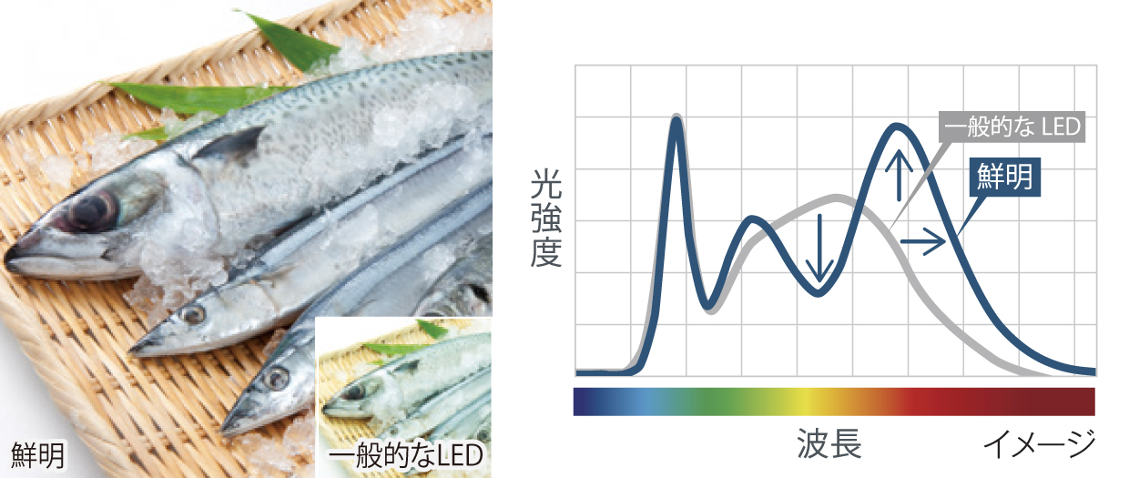 鮮魚向け（生鮮用 昼白色相当）
