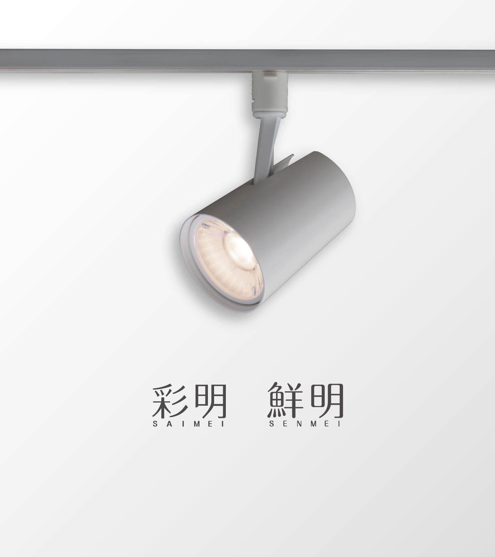 AKシリーズ 高彩度・高演色タイプ 彩明／高彩度タイプ 鮮明