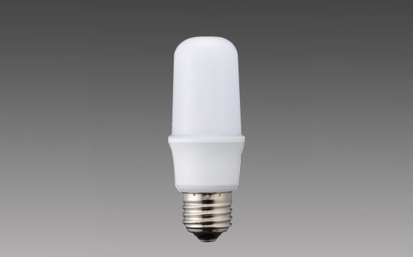T形 一般電球形