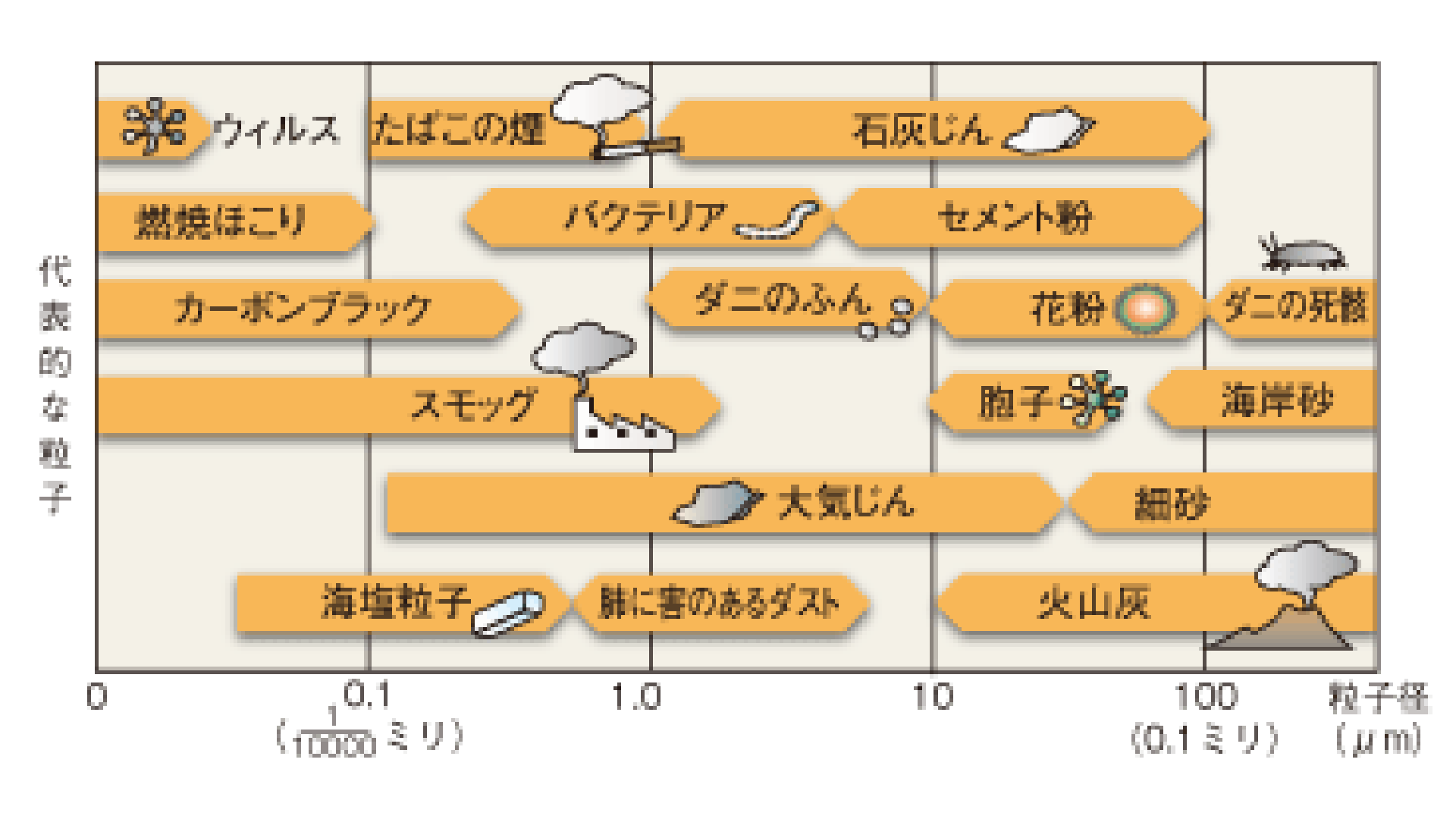 代表的な粒子の大きさ