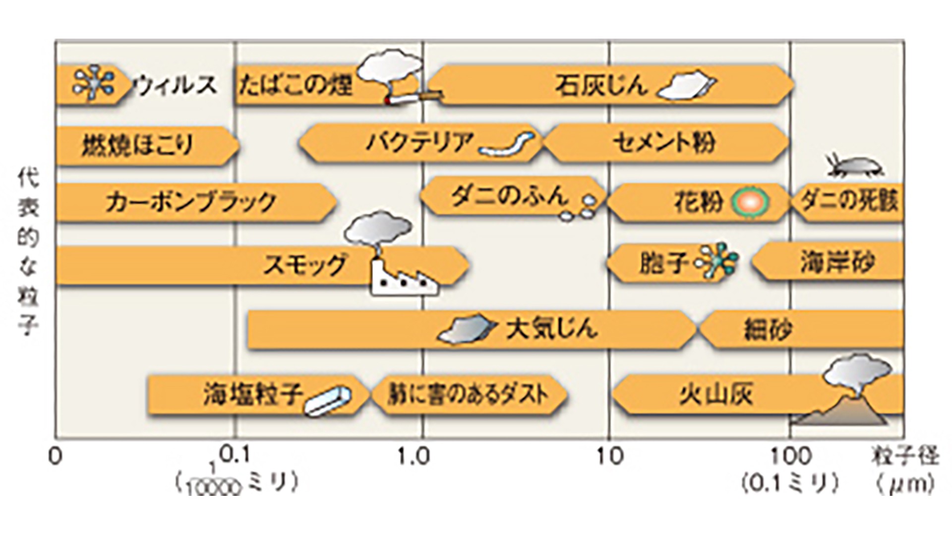 代表的な粒子と大きさ