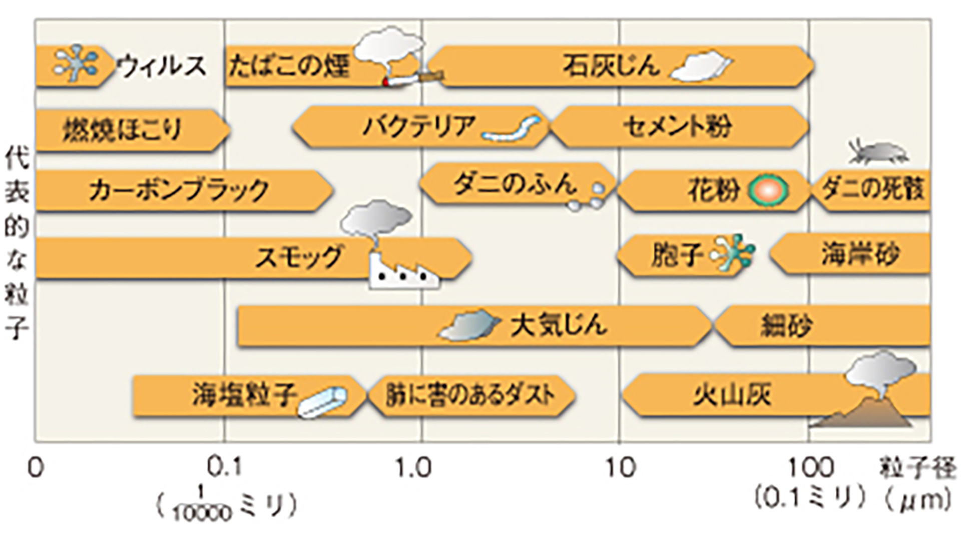 代表的な粒子と大きさ