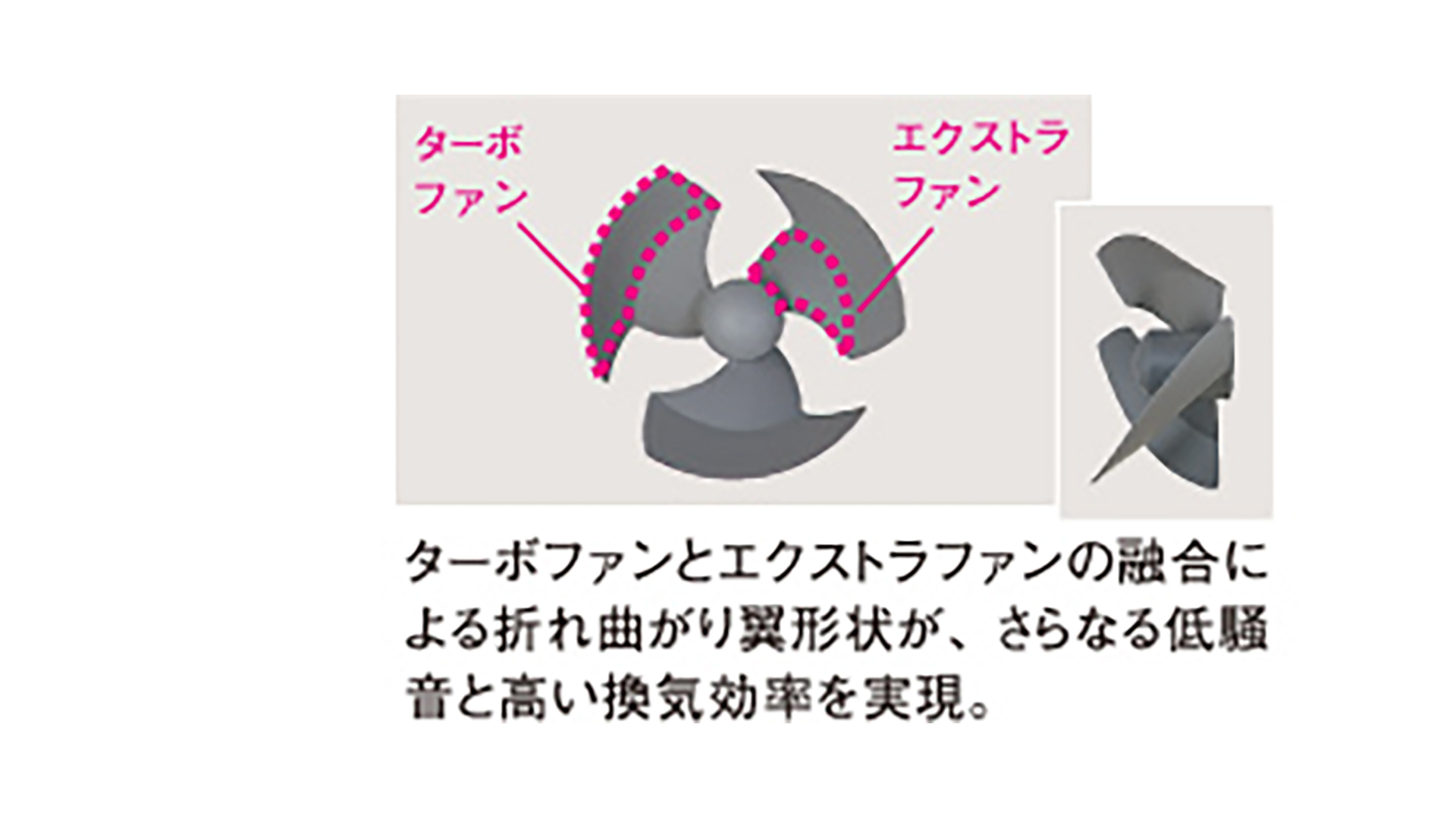 S-ウィングファン
