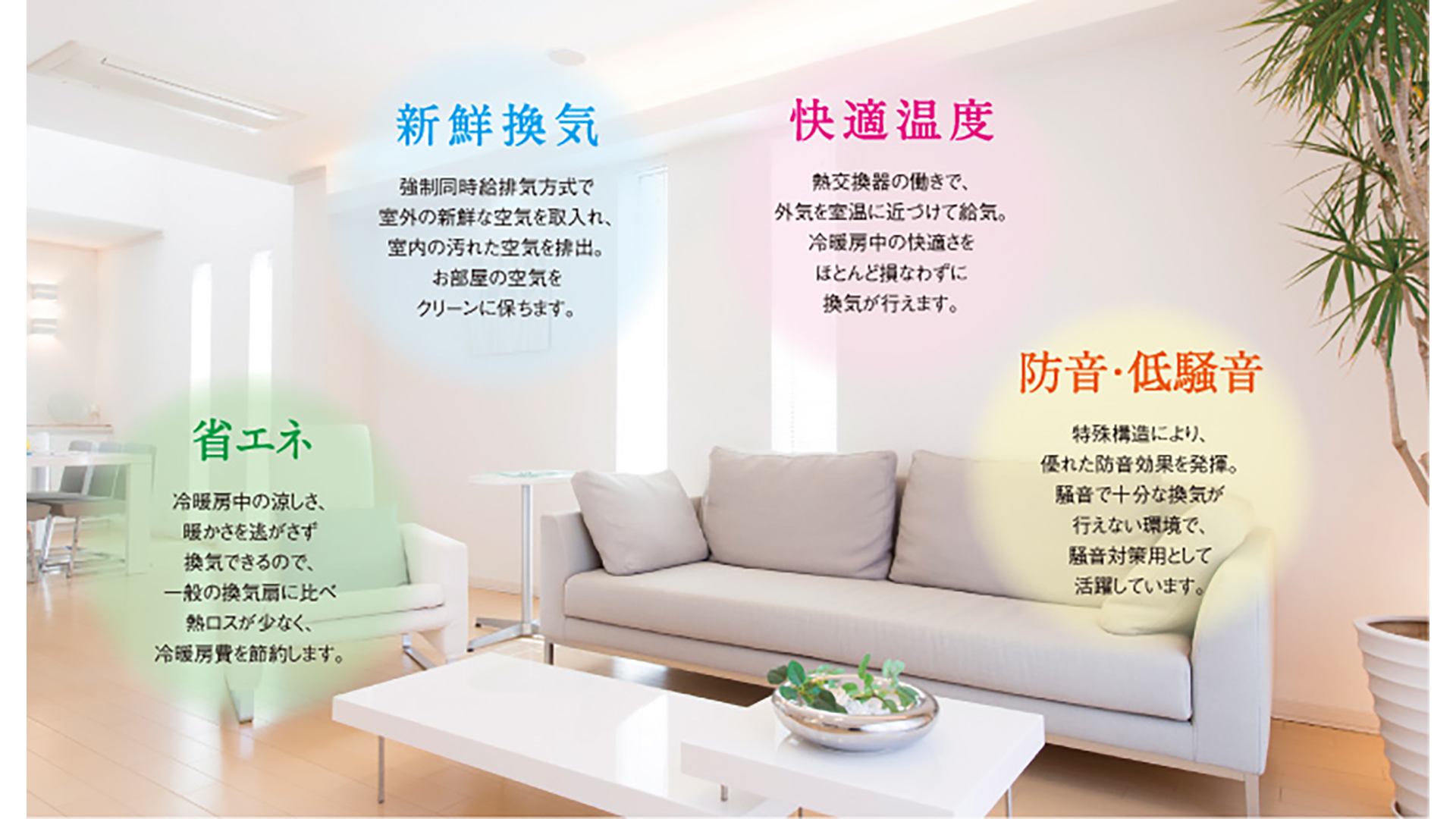 システムの特長