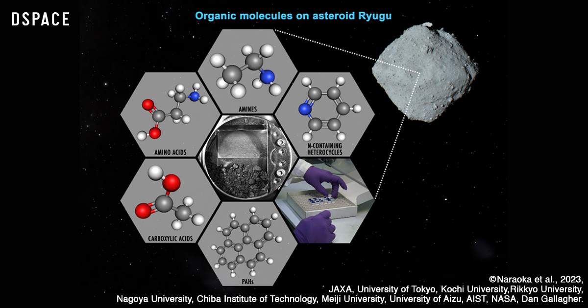 What does Ryugu’s organic matter tell us?  Mitsubishi Electric DSPACE