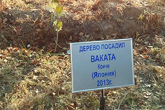 若田飛行士が打ち上げ前に植樹した木。コスモノートホテルの宇宙飛行士並木にある。一般客の打ち上げ見学ツアーを率いた、菊地涼子さん提供。