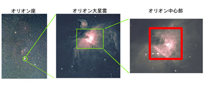 参考：オリオン中心部の図の中心にある明るい星は大質量星で、トラペジウムと呼ばれています。 (提供：国立天文台) 