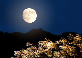 すすきに満月は、昔から日本人の心をひきつけてやみません。