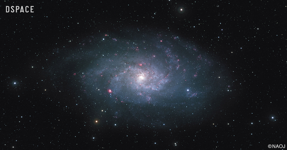 夜空 南天の夜空に輝く“スペアタイヤ星雲” ジェミニ南望遠鏡で撮影