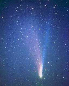ウェスト彗星（提供：星の村天文台）