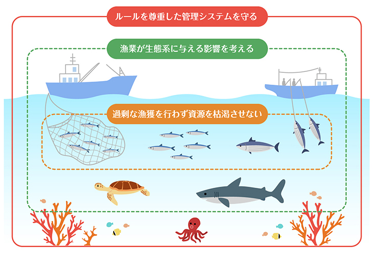 ルールを尊重した管理システムを守る漁業のイラスト