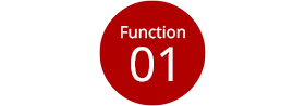 Function 01