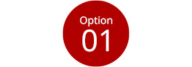 Option01